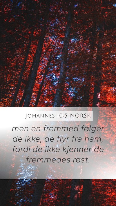 Johannes 10:5 NORSK Bible Verse Image