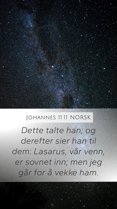 Johannes 11:11 NORSK Bible Verse Image