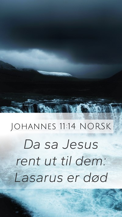 Johannes 11:14 NORSK Mobile Phone Wallpaper - Da sa Jesus rent ut til dem: Lasarus er - Mobile Bible Verse Wallpaper