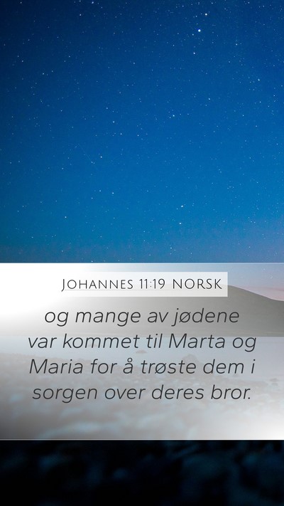 Johannes 11:19 NORSK Bible Verse Image