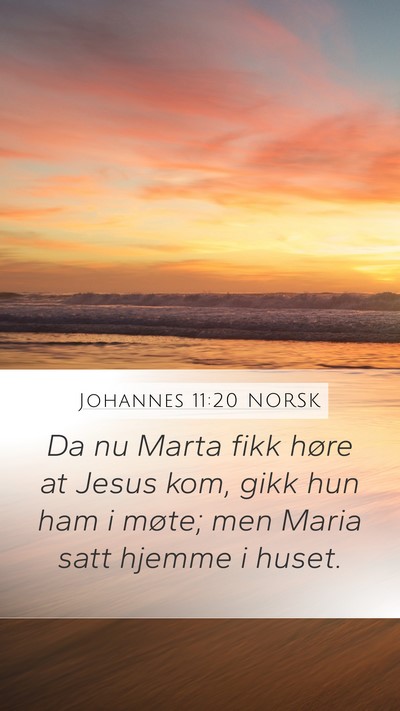 Johannes 11:20 NORSK Mobile Phone Wallpaper - Da nu Marta fikk høre at Jesus kom, gikk hun ham - Mobile Bible Verse Wallpaper
