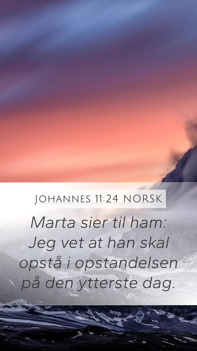 Johannes 11:24 NORSK Bible Verse Image