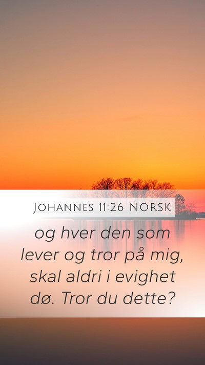 Johannes 11:26 NORSK Bible Verse Image