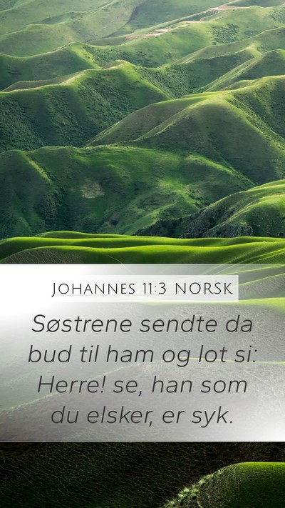 Johannes 11:3 NORSK Bible Verse Image