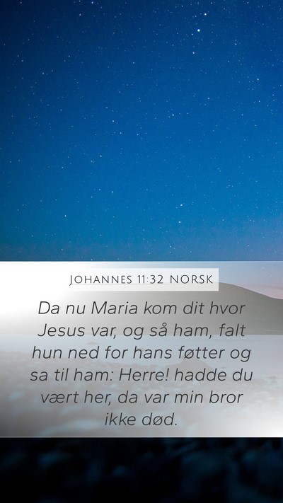 Johannes 11:32 NORSK Bible Verse Image