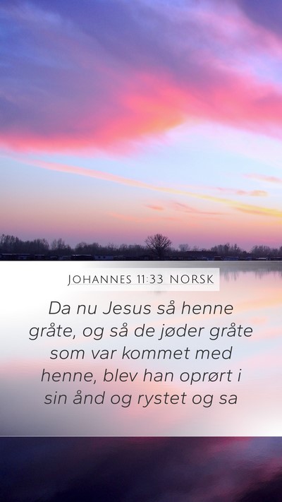 Johannes 11:33 NORSK Bible Verse Image