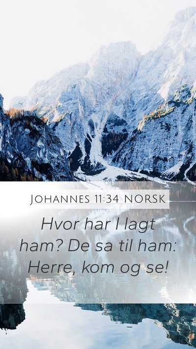 Johannes 11:34 NORSK Bible Verse Image