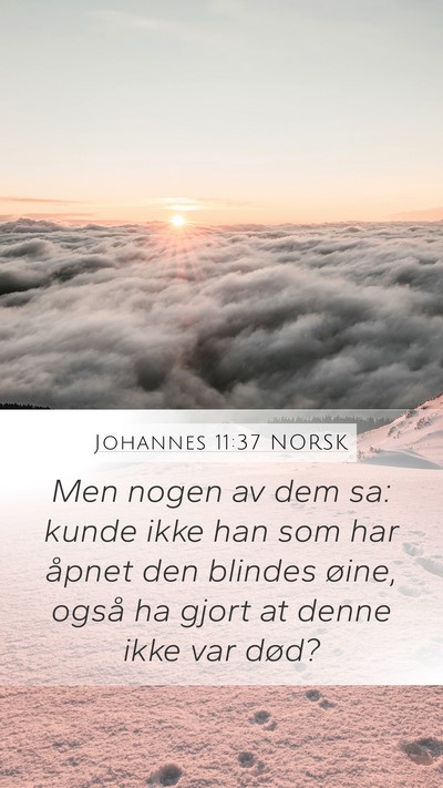 Johannes 11:37 NORSK Bible Verse Image