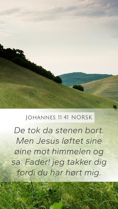 Johannes 11:41 NORSK Bible Verse Image