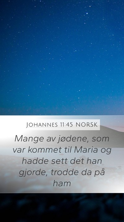 Johannes 11:45 NORSK Bible Verse Image