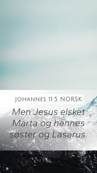 Johannes 11:5 NORSK Bible Verse Image