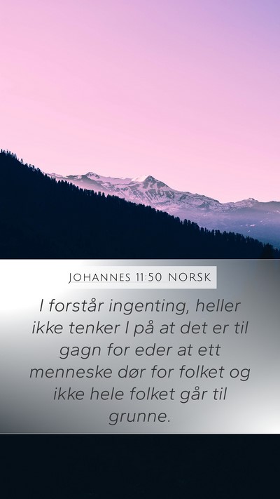 Johannes 11:50 NORSK Bible Verse Image