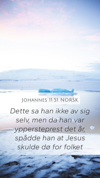 Johannes 11:51 NORSK Bible Verse Image