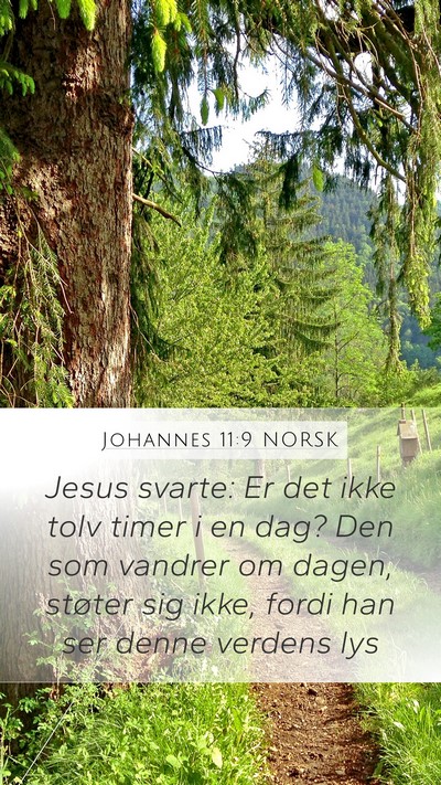 Johannes 11:9 NORSK Bible Verse Image