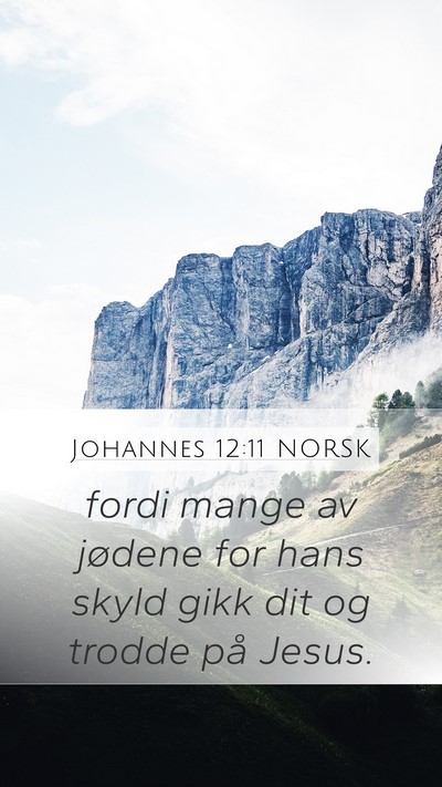 Johannes 12:11 NORSK Bible Verse Image