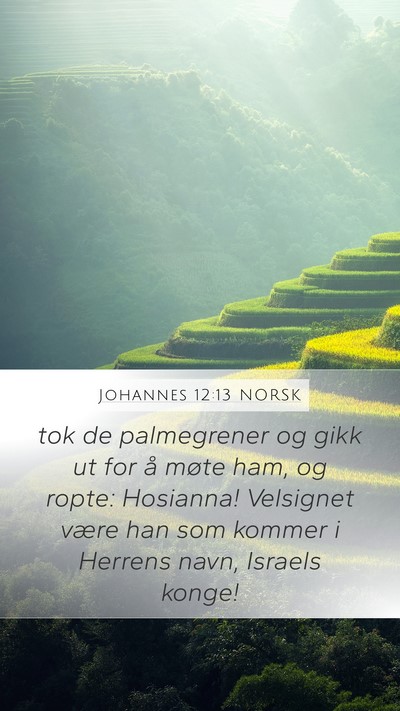 Johannes 12:13 NORSK Bible Verse Image