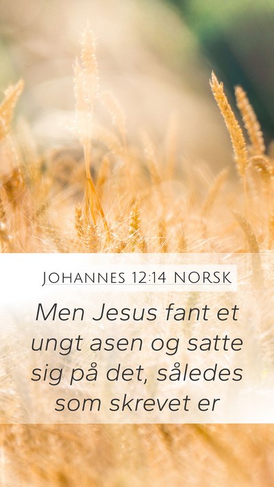 Johannes 12:14 NORSK Bible Verse Image