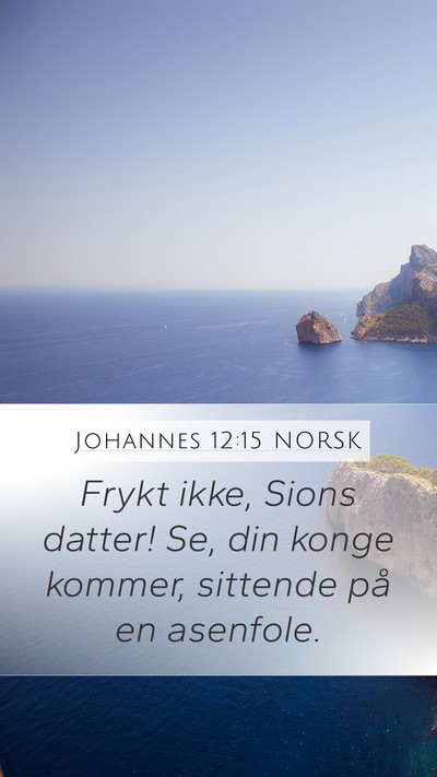 Johannes 12:15 NORSK Bible Verse Image