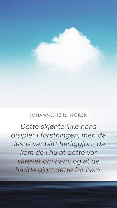 Johannes 12:16 NORSK Bible Verse Image