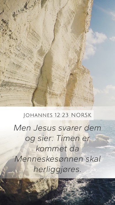 Johannes 12:23 NORSK Bible Verse Image
