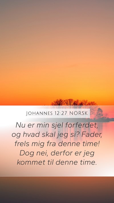Johannes 12:27 NORSK Bible Verse Image