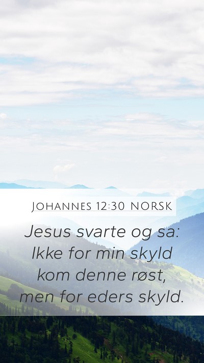 Johannes 12:30 NORSK Bible Verse Image