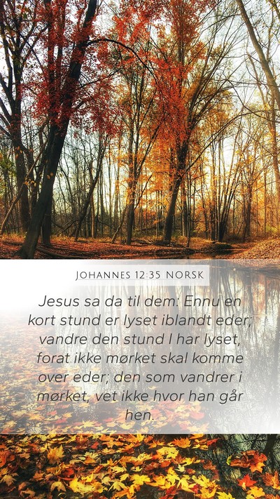 Johannes 12:35 NORSK Bible Verse Image