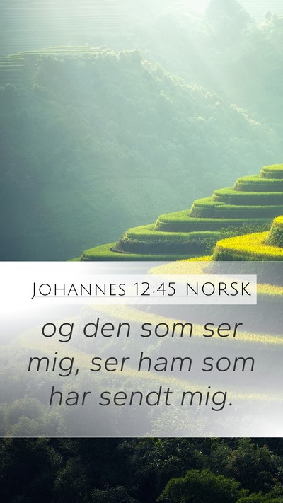 Johannes 12:45 NORSK Bible Verse Image