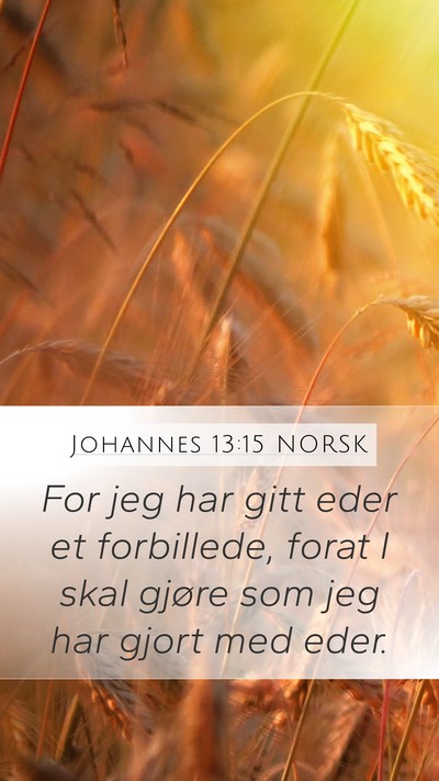 Johannes 13:15 NORSK Bible Verse Image