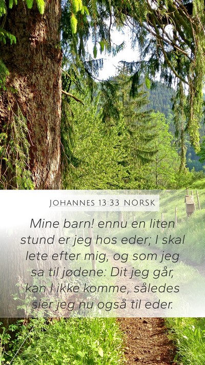 Johannes 13:33 NORSK Bible Verse Image