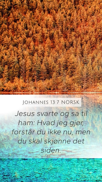 Johannes 13:7 NORSK Bible Verse Image