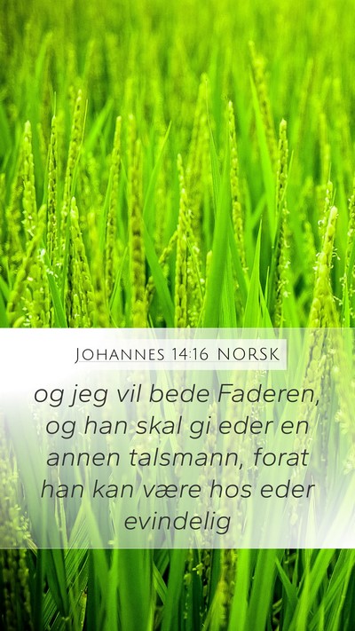 Johannes 14:16 NORSK Bible Verse Image