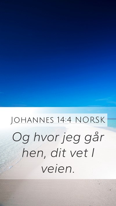 Johannes 14:4 NORSK Bible Verse Image