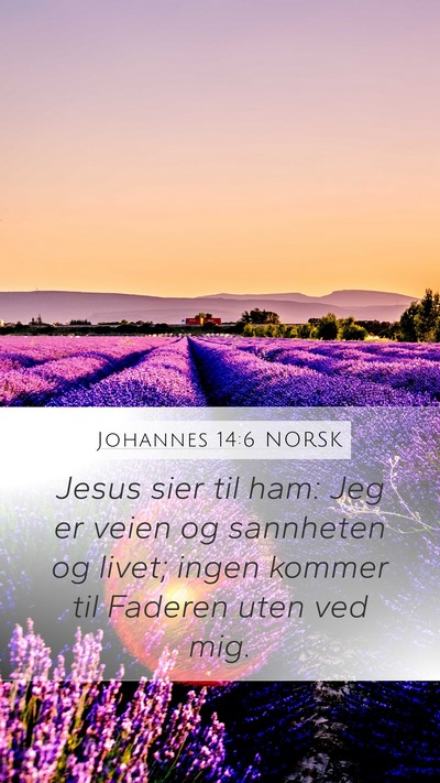 Johannes 14:6 NORSK Bible Verse Image