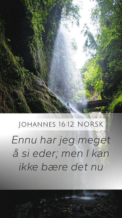 Johannes 16:12 NORSK Bible Verse Image