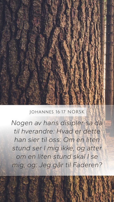 Johannes 16:17 NORSK Bible Verse Image