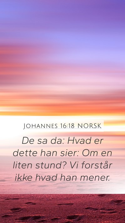 Johannes 16:18 NORSK Mobile Phone Wallpaper - De sa da: Hvad er dette han sier: Om en liten - Mobile Bible Verse Wallpaper