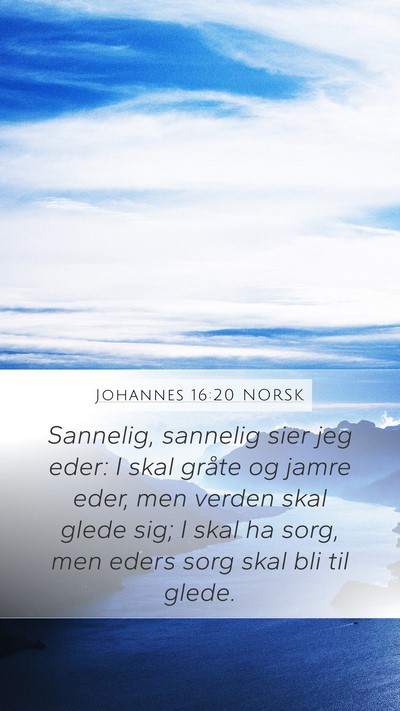 Johannes 16:20 NORSK Bible Verse Image