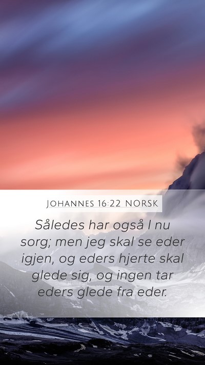 Johannes 16:22 NORSK Bible Verse Image