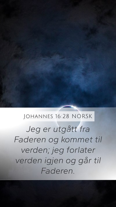 Johannes 16:28 NORSK Bible Verse Image