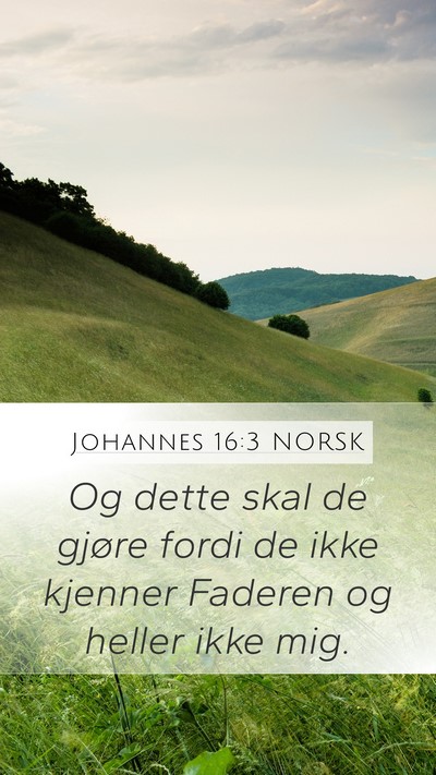Johannes 16:3 NORSK Bible Verse Image