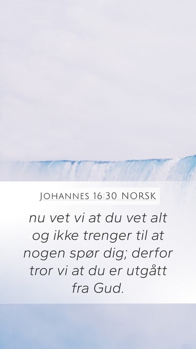 Johannes 16:30 NORSK Bible Verse Image