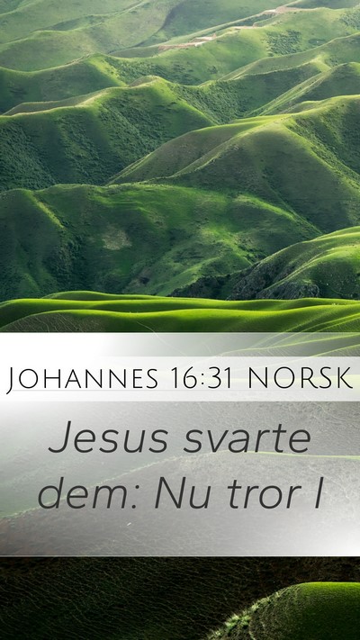 Johannes 16:31 NORSK Mobile Phone Wallpaper - Jesus svarte dem: Nu tror - Mobile Bible Verse Wallpaper