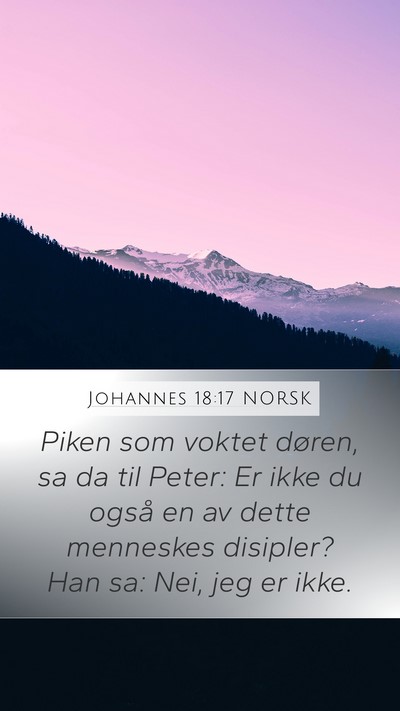 Johannes 18:17 NORSK Bible Verse Image