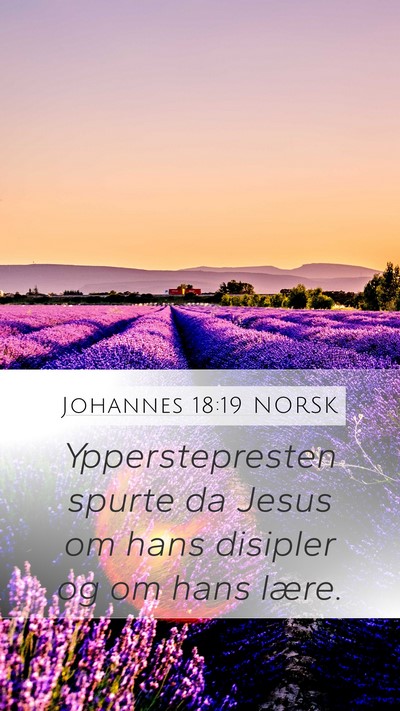 Johannes 18:19 NORSK Bible Verse Image