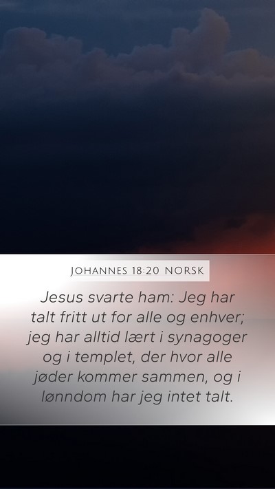 Johannes 18:20 NORSK Bible Verse Image