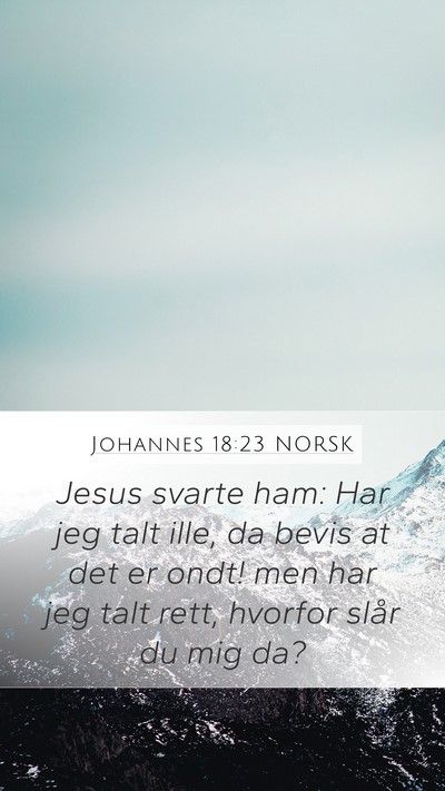 Johannes 18:23 NORSK Bible Verse Image