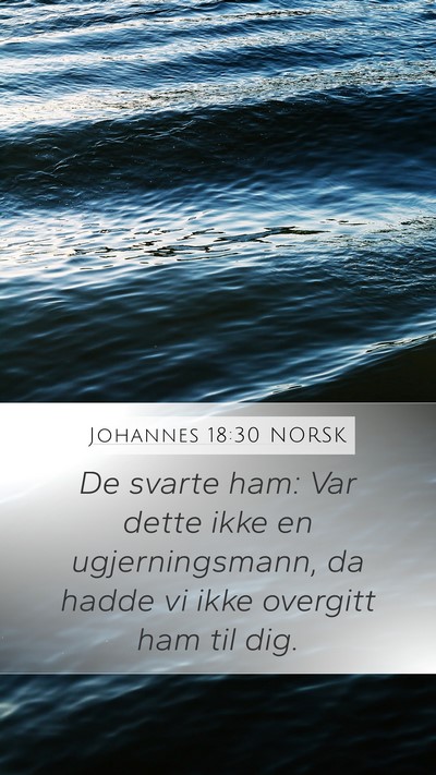 Johannes 18:30 NORSK Bible Verse Image