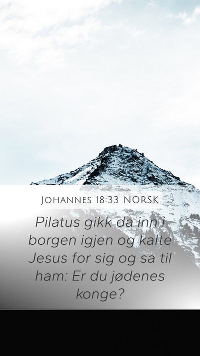 Johannes 18:33 NORSK Bible Verse Image