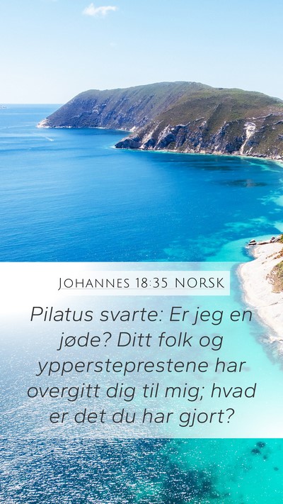 Johannes 18:35 NORSK Bible Verse Image